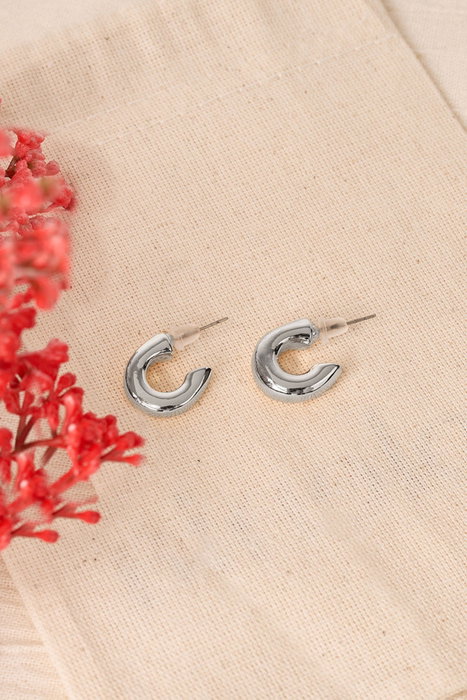 Heliophilia Silver Pendientes de Plata con Recubrimiento de Laca
